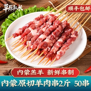 草原队长内蒙古羊肉串，半成品烧烤食材新鲜羊肉，淄博烤串1000g原切