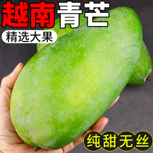 越南青芒新鲜水果10斤应季孕妇即食热带进口青皮金煌甜心芒果