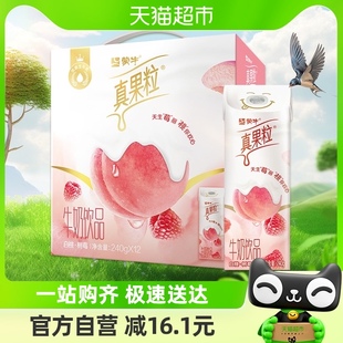 蒙牛真果粒牛奶饮品白桃树莓味240g×12包