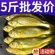 青岛小黄花鱼5斤海鱼小黄鱼新鲜鲜活冷冻整箱香酥鱼食材生鲜海鲜