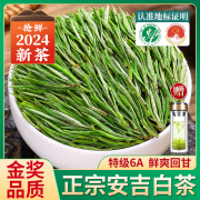 安吉白茶2024新茶特级6A明前绿茶珍稀白茶散装茶叶