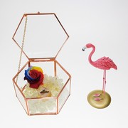 抖音玫红色边玻璃首饰盒展示珠，f宝收纳盒简约婚礼，伴手礼欧式摆件