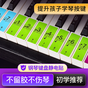 彩色钢琴键盘贴纸88键61键54键儿童成人电子琴五线谱简谱按键贴