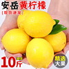 四川安岳黄柠檬10斤当季新鲜水果皮薄香水鲜甜柠檬青整箱