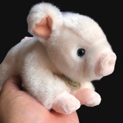 正版toyclub粉色小猪猪公仔，毛绒玩具可爱小猪，宝宝趴趴猪年吉祥物