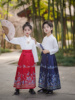 雪龙吟舞蹈演出服中国古风儿童马面裙汉服国学服女童男运动会服装