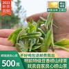 崂山绿茶2023新茶春茶明前豌豆，香500g特级散装礼盒装青岛高山绿茶