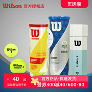 wilson威尔胜网球，triniti地专业比赛环保纸桶，上海大师赛用球