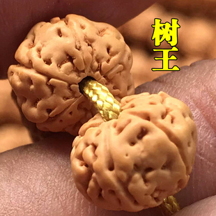 矮桩树王小金刚菩提，108颗佛珠手链男士女，菩提子文玩念珠手串项链