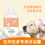 拉布拉多猎犬专用洗护沐浴露，短毛拉不拉多宠物狗除臭洗澡液清洁品
