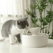 猫咪饮水机流动不插电自动循环滤芯活水猫饮水机陶瓷狗狗饮水器