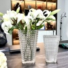 加厚亮网红轻奢欧式玻璃花瓶透明插花现代客厅简约家居装饰品摆件