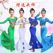 儿童傣族舞蹈服孔雀舞演出服装女童少儿傣族鱼尾裙亮片长袖长裙