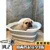驼驼家狗狗洗澡盆宠物，可折叠便携药浴泡澡桶法斗小型犬洗澡神器