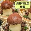 蘑菇奶豆腐模具自制法式甜品仿真杏鲍菇造型慕斯蛋糕硅胶磨具蒸笼