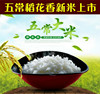 2018年新米上市黑龙江五常稻花香大米生态，米非转基因nmcth83o03