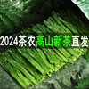 魁王2024新茶叶(新茶叶)特级太平布尖绿茶，猴魁安徽黄山春茶绿茶叶250克装