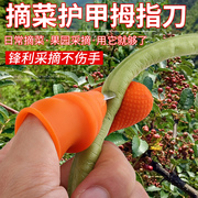 摘草莓辣椒花椒神器掐菜拇指，剥蒜指套，手指剪摘水果手套铁指甲