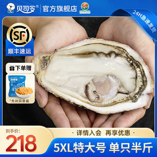 贝司令乳山生蚝鲜活10斤特大5XL海鲜水产新鲜海蛎子蒜蓉牡蛎