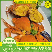 深圳头手黄油蟹4-5两/只鲜活野生水产大膏蟹羔香肉甜青蟹