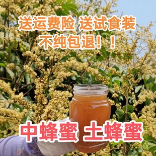 自养自卖蜂蜜中蜂蜜，土蜂蜜农家蜜，百花蜜纯天然美容保健