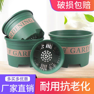 矮款加仑盆兰花盆树脂塑料大号，创意个性绿植花卉，月季绿萝简约控根