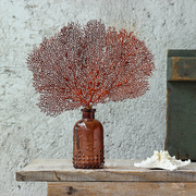 天然扇形海铁树红色海柳树家居，装饰品创意摆件鱼缸，造景婚庆道具