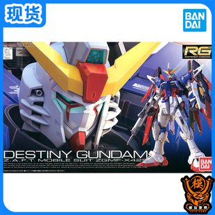  万代 RG 11 1/144 Destiny Gundam  命运高达 可选光翼