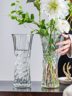水养富贵竹玻璃花瓶透明百合花，客厅插花摆件水竹子专用水培特大号
