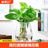 创意透明玻璃欧式花瓶桌面水培绿萝观音竹鱼缸容器摆件台面极简