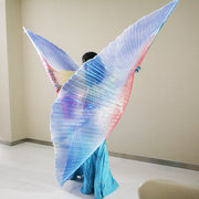 肚皮舞金翅道具3色幻彩翅膀，成人演出翅膀，舞蹈服360度彩色翅膀