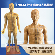 人体针灸模型针灸铜人模型穴位，铜人人体经络，模型(铜色)1