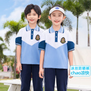 校服小学生套装中学生运动会夏季短袖，纯棉儿童班服幼儿园园服夏装