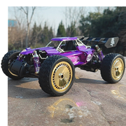 速龙紫黄金纪念版，变速合金rc赛车儿童，遥控汽车玩具男孩攀爬越野车