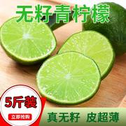 泰国青柠檬新鲜无籽青柠檬5斤皮薄汁多调酒酒吧奶茶饮品店用