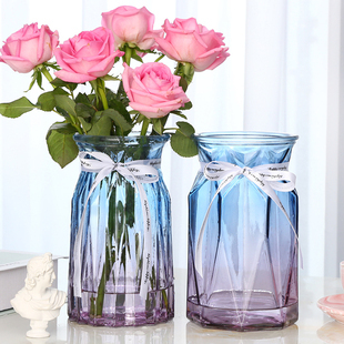 花瓶2个玻璃花瓶彩色欧式客厅创意摆件插花玫瑰 水培透明家用