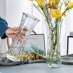 特大号透明玻璃花瓶北欧家用水养富贵竹，百合干花插花花瓶客厅摆件