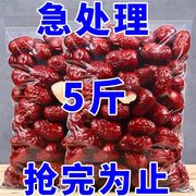 新货红枣新疆和田特产红枣500g袋装免洗饱满枣子干果大枣