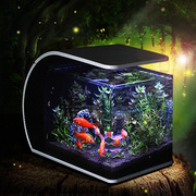 热带金鱼缸水族箱小型珊瑚套餐鱼缸玻璃造景静音生态真水草套餐鱼