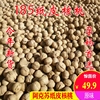 22年新疆阿克苏纸皮核桃新货薄壳原味无漂白非薄皮核桃1000g