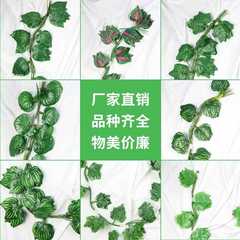 仿真葡萄叶爬山虎藤条壁虎仿真叶塑料植物绿萝叶假花装饰