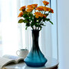 定制家居水培装饰花瓶客厅，桌面工艺品花瓶摆件干花插花玻璃花器议