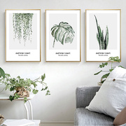 植物挂画小清新叶子北欧现代风格家居装饰画，客厅组合芭蕉叶龟背竹