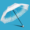 江南系列伞阿波罗晴雨伞三折伞，全自动透明白色水乡透明伞印花