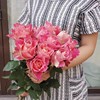 日本故事日本超大花，玫瑰苗盆栽切花月季