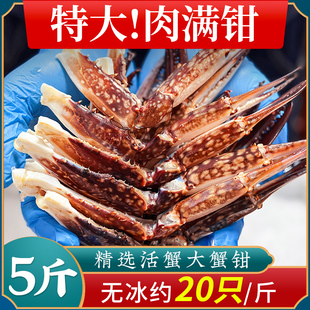 蟹钳生鲜海鲜水产新鲜冷冻舟山梭子蟹，钳商用飞蟹脚超大螃蟹腿