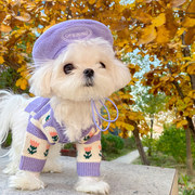 宠物衣服秋冬季比熊马尔济斯小型犬猫咪可爱针织毛衣开衫紫色潮牌