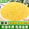 黄小米5斤 新米小黄米 月子粥农家油脂小米粥糯粟米粗粮小米杂粮