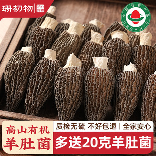 珊初物羊肚菌干货500g新鲜菌菇煲汤不特级野生干货礼盒云南