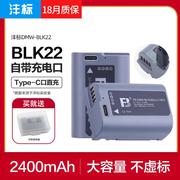 沣标W-BLK22电池DC-S5 S5K S5M2 GH6 GH5M2 S52X G9M2微单S5二代mark2充电器Lumix相机W/C/K配件非